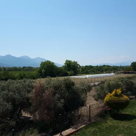 Cypress Valley Villas 빌라 Guzelcamlı